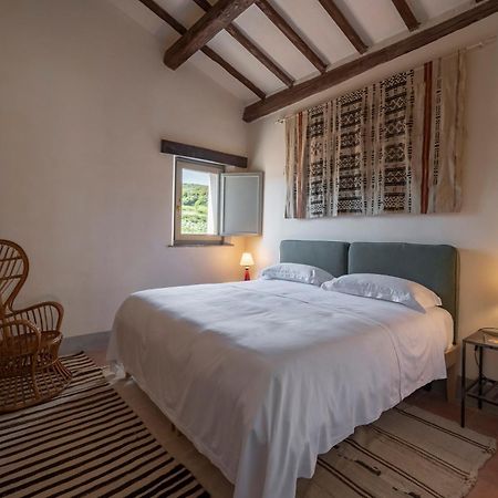 Locanda Fontelupa Campagnatico Cameră foto